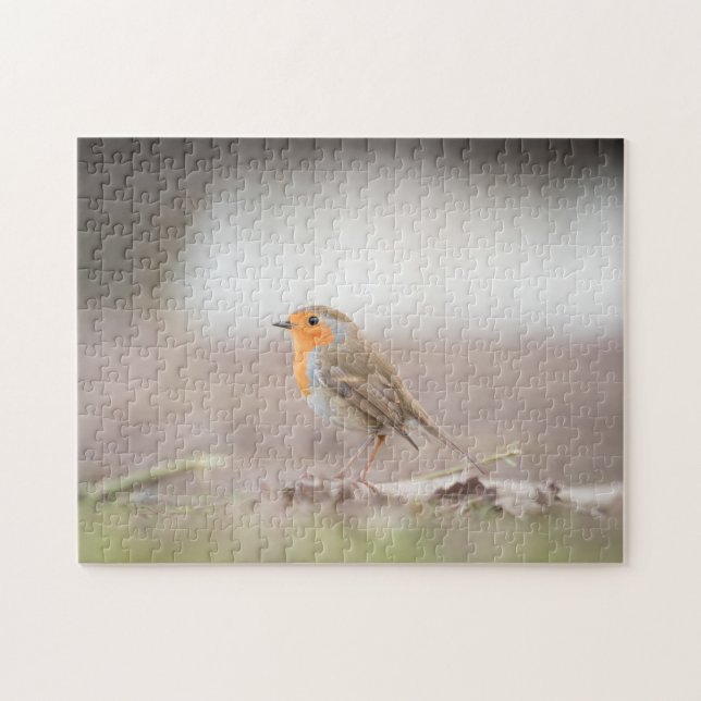 Puzzle Foto de Robin Bird Nature (Horizontal)