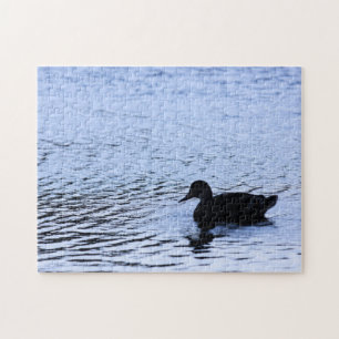 Puzzle Foto de silueta de pato solitario con rizos de agu