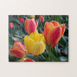 Puzzle Foto de Tulipanes Amarillos y Rojos en Jardín de R