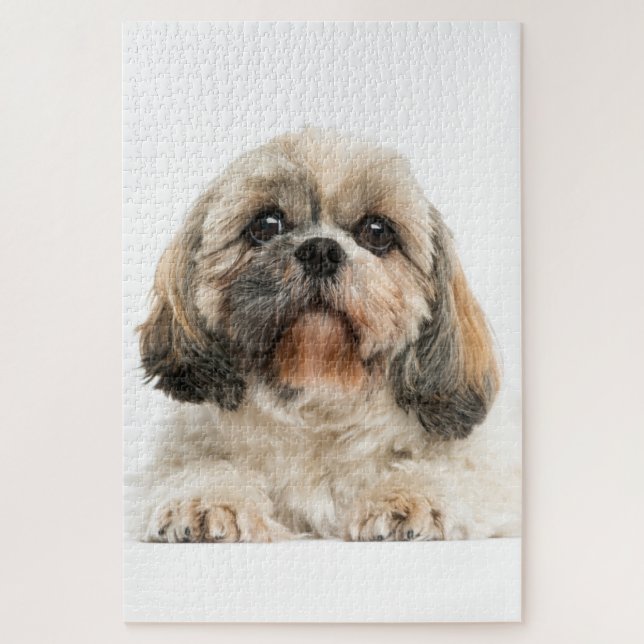 Puzzle Foto de un perro Mascota Shih Tzu (Vertical)