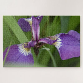 Puzzle Foto de una hermosa flor de iris púrpura