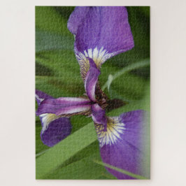 Puzzle Foto de una hermosa flor de iris púrpura