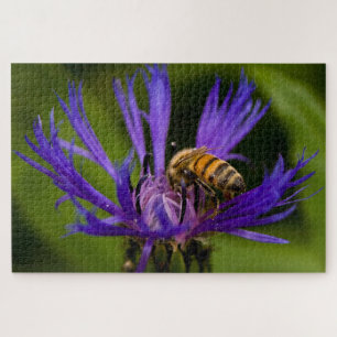 Puzzle Foto de una hermosa flor morada con abeja de miel