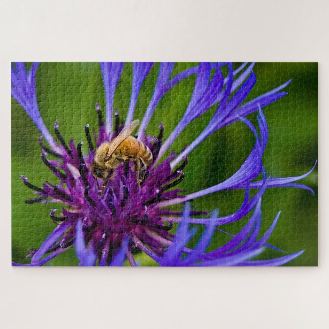 Puzzle Foto de una hermosa flor morada con abeja de miel (Horizontal)