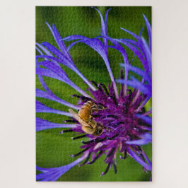 Puzzle Foto de una hermosa flor morada con abeja de miel