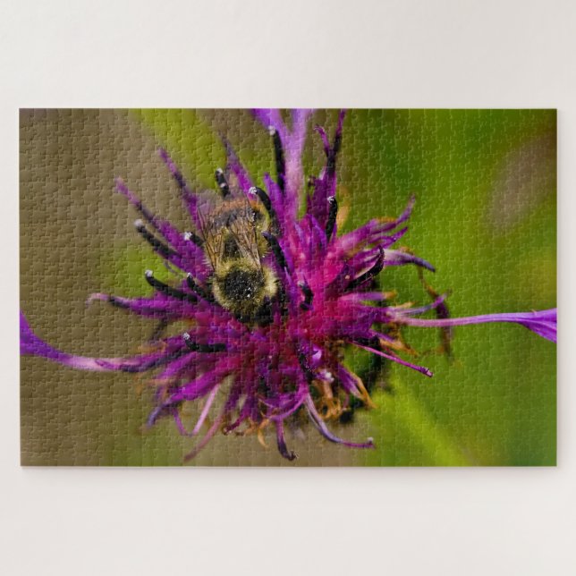 Puzzle Foto de una hermosa flor morada con abeja de miel (Horizontal)
