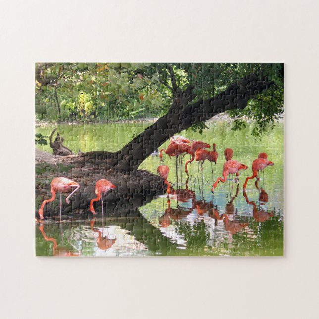 Puzzle Foto De Vida Silvestre De La Bloca De Flamingo Ros (Horizontal)