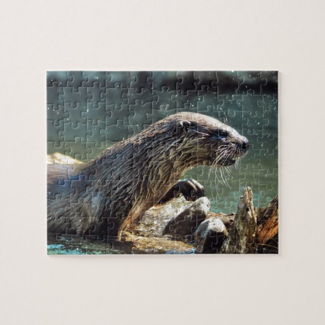 Puzzle Foto de vida silvestre de River Otter (Horizontal)