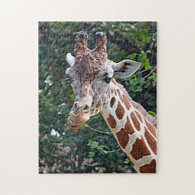 Puzzle Foto de Wildlife Giraffe (Vertical)
