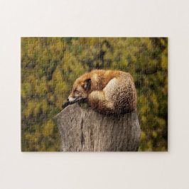 Puzzle Foto de zorro dormido