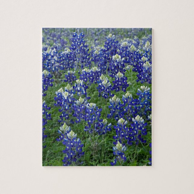 Puzzle Foto del campo de los Bluebonnets de Tejas (Vertical)