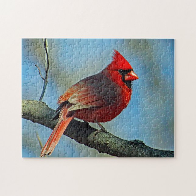 Puzzle Foto del Cardenal Rojo bonito (Horizontal)