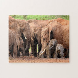 Puzzle Foto del personalizado de la familia Elephants