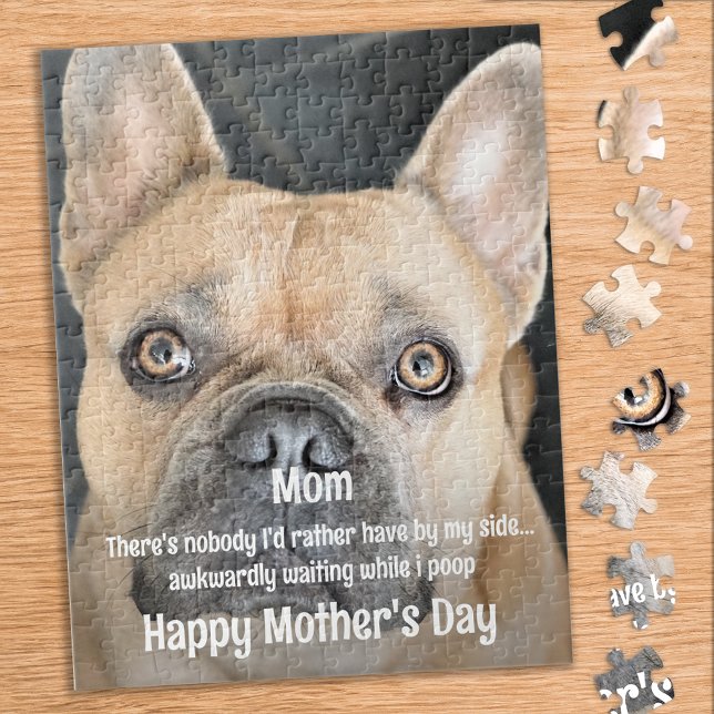 Puzzle Foto divertida de madre de perro Mascota - Perro D (Subido por el creador)