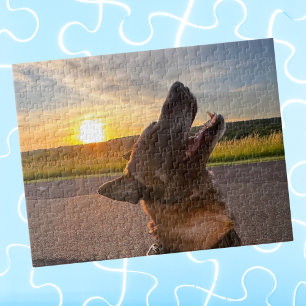 Puzzle Foto divertida de mascota de perro genial, Noche d