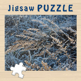 Puzzle Foto estética de hierba de invierno encubierta de 