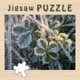 Puzzle Foto estética de Hojas de Invierno encubiertas con