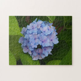Puzzle Foto floral azul y rosa de Hydrangea bonito