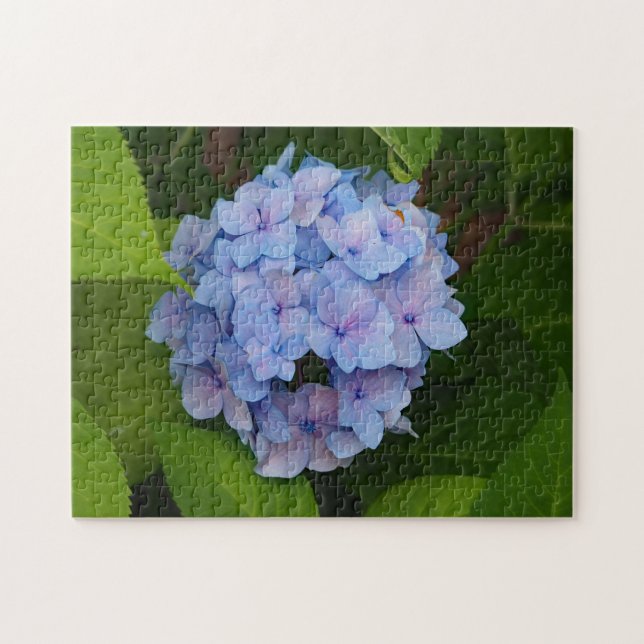 Puzzle Foto floral azul y rosa de Hydrangea bonito (Horizontal)