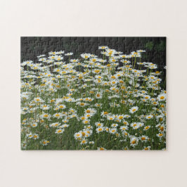Puzzle Foto floral de Daisies blancos bonitos