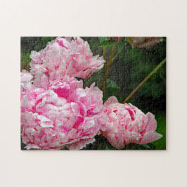 Puzzle Foto floral de Peonies Rosa bonito