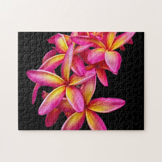 Puzzle Foto floral de Plumeria Rosa bonito (Horizontal)