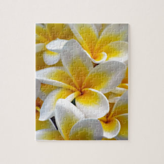 Puzzle Foto Frangipani Plumeria de Flor