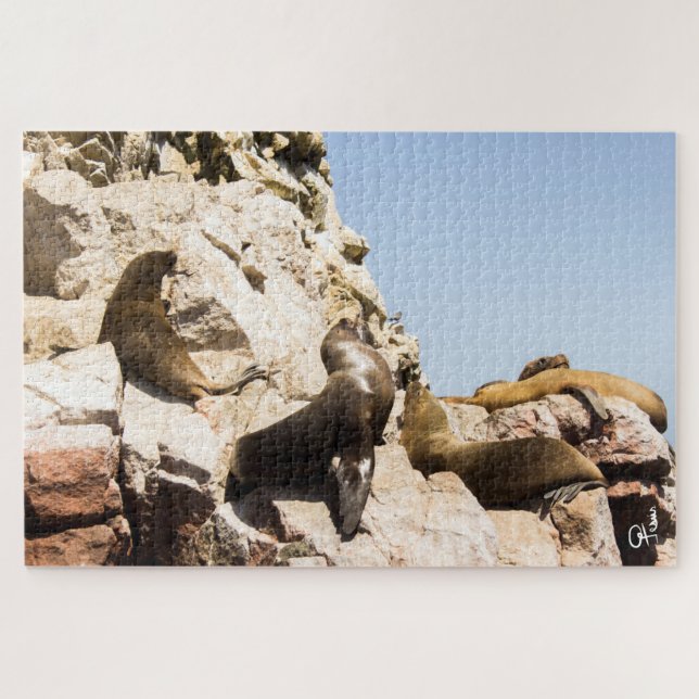 Puzzle Foto Islas Ballestas, Paracas - Perú (Horizontal)