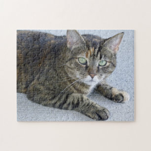 Puzzle Foto linda del gato de Tabby