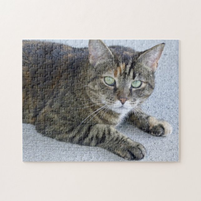 Puzzle Foto linda del gato de Tabby (Horizontal)