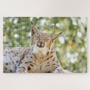 Puzzle Foto lynx , mascota , animales 0296.