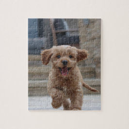 Puzzle Foto mascota | Carga de imágenes Perro Adorable Cu