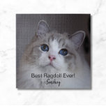 Puzzle Foto Mascota personalizada Mejor gato de Ragdoll J<br><div class="desc">Este diseño presenta una hermosa foto de un gato de Ragdoll de ojos azules y una tipografía negra. Puedes reemplazar la foto con una imagen de tu propio gato o gatito. El texto de ejemplo - Mejor Ragdoll jamás - se puede editar en palabras de su elección y también se...</div>