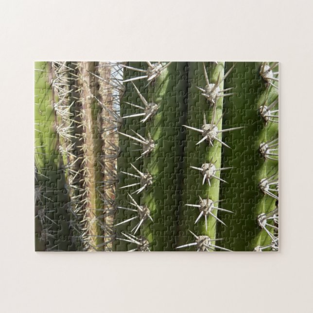 Puzzle Foto natural del desierto de Cactus II de Barrel (Horizontal)