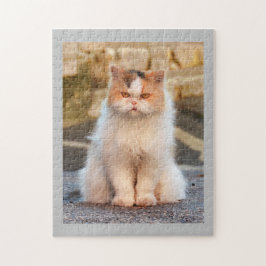 Puzzle Foto personalizada de gato