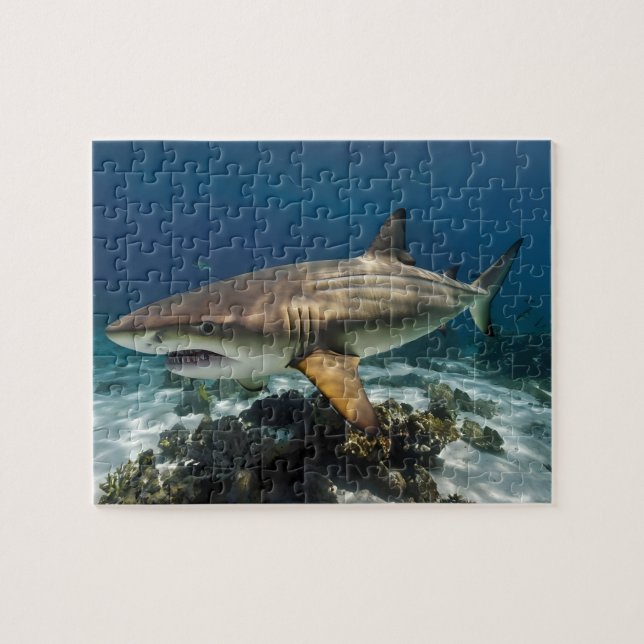 Puzzle Foto personalizado Pescado de tiburón blanco azul  (Horizontal)