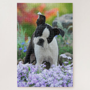 Puzzle Foto principal animal del perrito lindo del perro