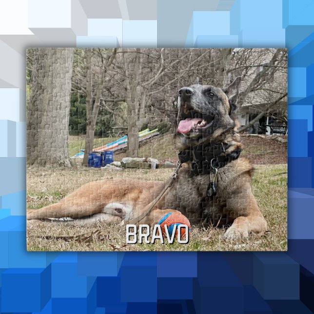 Puzzle Foto y nombre del Mascota del perro, noche de la f (Subido por el creador)