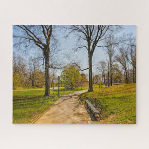 Puzzle Fotografía abstracta de Central Park New York.