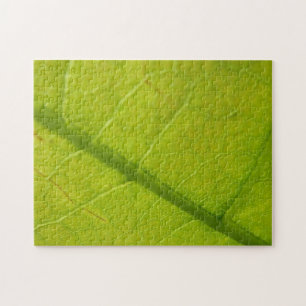 Puzzle Fotografía Botánica de Hojas Verdes de la Naturale