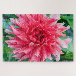 Puzzle Fotografía canadiense de flores rosa Dahlia