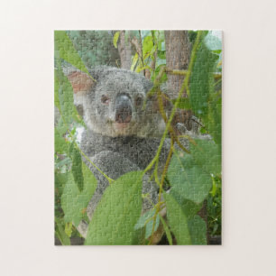 Puzzle Fotografía de Australia con el bebé de Koala