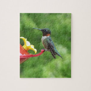 Puzzle Fotografía de aves de colibrí de garganta rubí