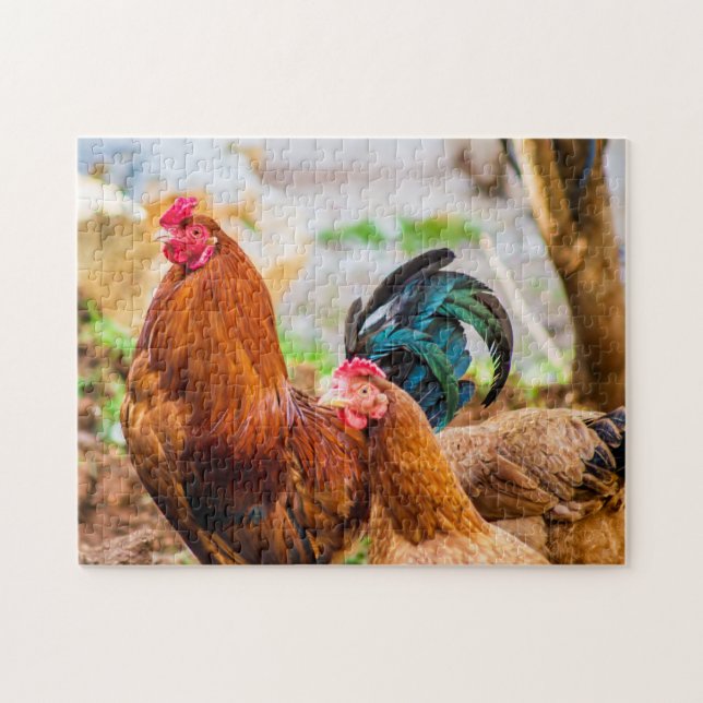 Puzzle Fotografía de aves mejores fotos de vida silvestre (Horizontal)