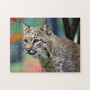 Puzzle Fotografía de Bobcat Vida silvestre