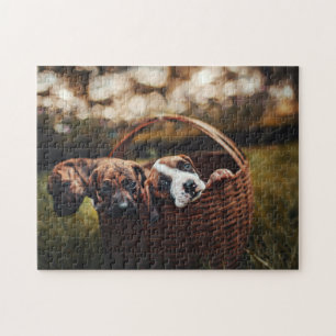 Puzzle Fotografía de cachorro de cachorro triste y foto d
