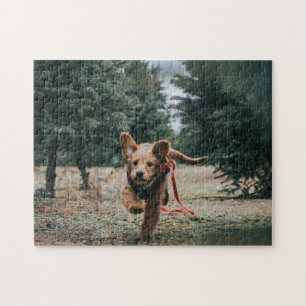 Puzzle Fotografía de cachorro de cachorro triste y foto d