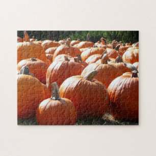 Puzzle Fotografía de calabazas para Caída, Halloween o Dí