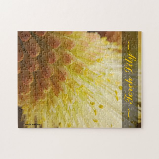 Puzzle Fotografía de Cierre de Lirio de Antorcha Radiante