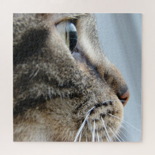 Puzzle Fotografía de cierre de perfil de gato, 676 piezas